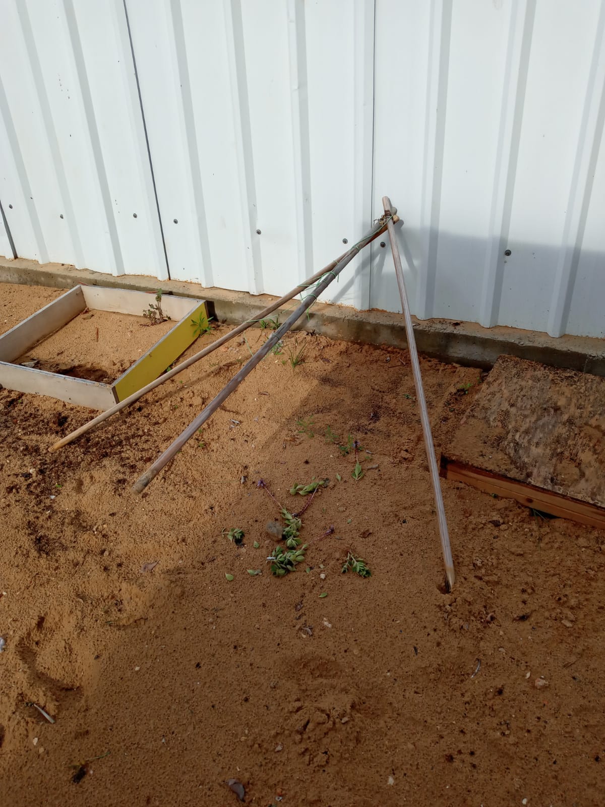 WhatsApp Image 2020-05-06 at 1.02.35 PM (1).jpeg.jpeg